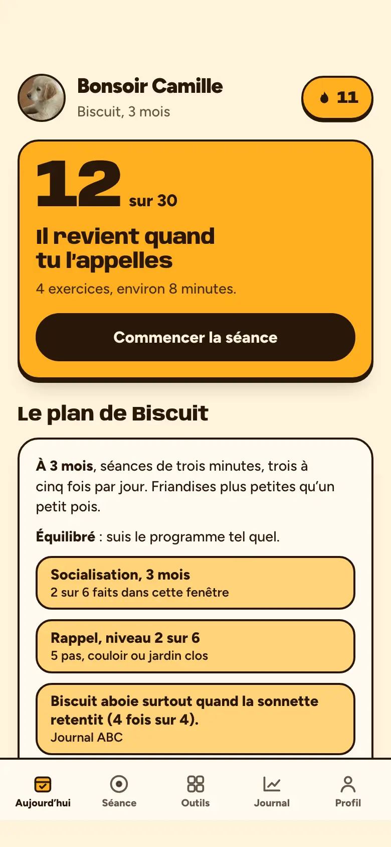 Capture de l’app