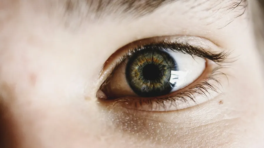 Gros plan d'un œil aux cils naturels